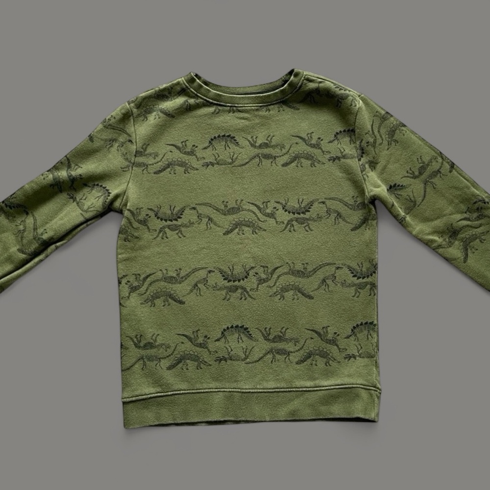 Cat & Jack green dinosaur sweatshirt size 6/7